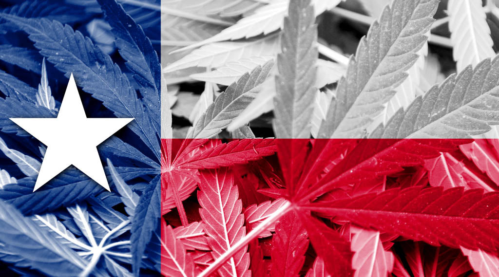 Texas flag design made with red, white, and blue hemp leaves – symbolizing Texas hemp laws and cannabis regulation in 2025.