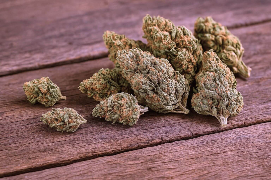 Hand-trimmed organic hemp buds from Pure Hemp Farms laid out on a rustic wooden table