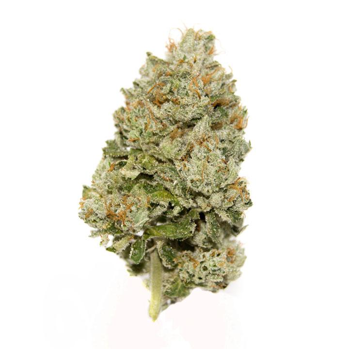 Girl Scout Cookies Delta-8 THC Flower